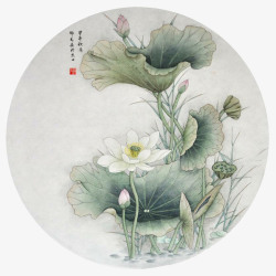 工笔美术花中国风荷花高清图片