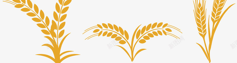 彩绘小麦矢量图eps免抠素材_新图网 https://ixintu.com 创意 小麦 彩绘 特色 集合 食物 黄色 矢量图