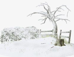 白雪树枝树桩素材