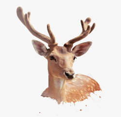 圣诞彩绘圣诞节小鹿高清图片
