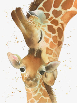 长颈鹿宝宝鹿宝宝和鹿妈妈高清图片