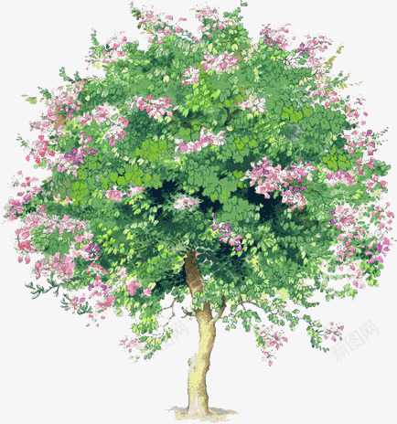 手绘夏季粉色花朵大树png免抠素材_新图网 https://ixintu.com 夏季 大树 粉色 花朵