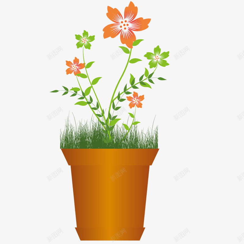 盆栽植物png免抠素材_新图网 https://ixintu.com 小草 房间装饰 绿色 花朵 鲜花