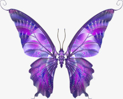 紫色复古翅膀蝴蝶素材
