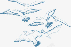 手绘飞翔海鸥精美卡通飞鸟高清图片