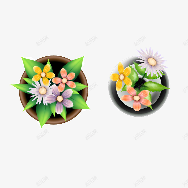 俯瞰盆栽花朵png免抠素材_新图网 https://ixintu.com 俯瞰 盆栽 盆栽花朵 花朵素材