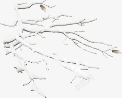 手绘摄影有雪花的树枝素材