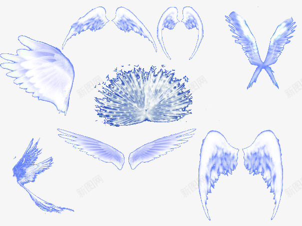 各种白色的翅膀羽翼png免抠素材_新图网 https://ixintu.com 丘比特 凤凰飞翔 合集 天使 孔雀开屏 白色 羽毛 鸽子的翅膀
