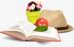 苹果树叶书本帽子盆栽素材