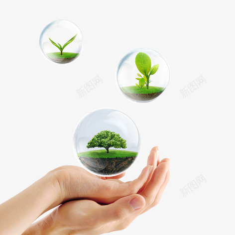 手心上的水晶球png免抠素材_新图网 https://ixintu.com 手势 植物 水晶球 环保 绿色 装饰