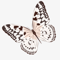 卡通手绘飞翔的蝴蝶素材