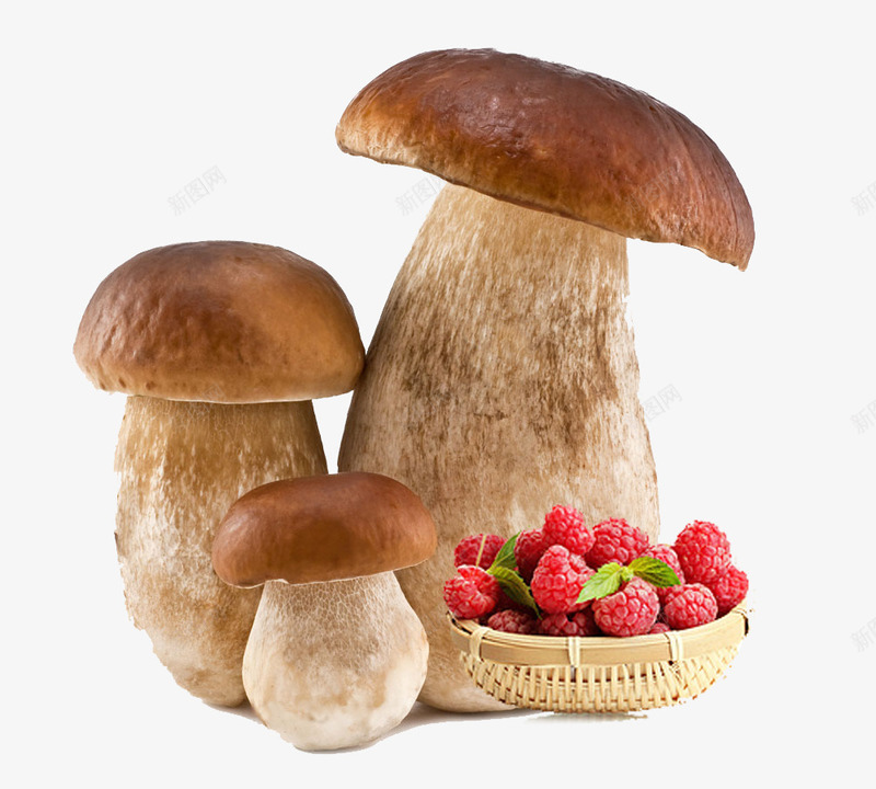 野蘑菇和草莓psd免抠素材_新图网 https://ixintu.com 水果 草莓 蘑菇