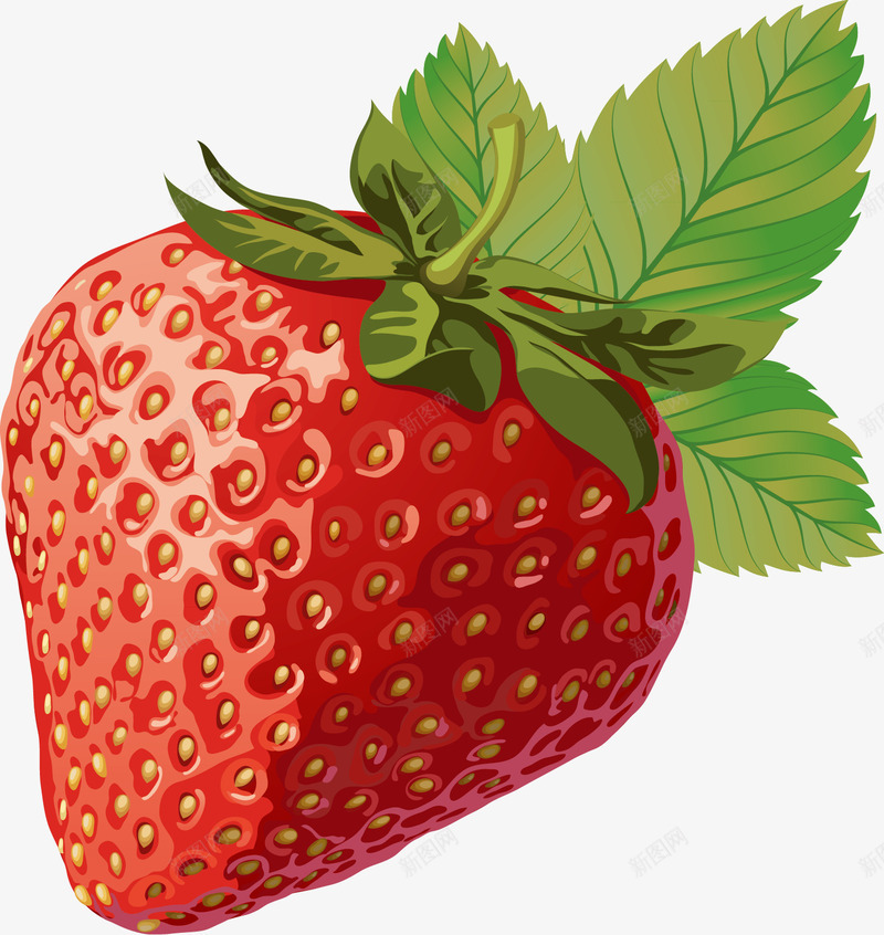 草莓片png免抠素材_新图网 https://ixintu.com 卡通 矢量草莓 草莓 草莓元素