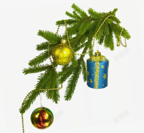 圣诞节礼物装饰松针png免抠素材_新图网 https://ixintu.com 圣诞节 松针 礼物 装饰