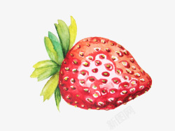 画画草莓水彩草莓高清图片
