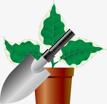 铁铲盆栽种植植物png免抠素材_新图网 https://ixintu.com 植物 盆栽 种植 铁铲