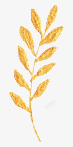 黄金叶子金色植物叶子高清图片
