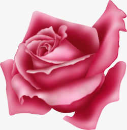 手绘粉色玫瑰卡片素材