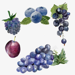 蓝莓果子成熟的葡萄高清图片