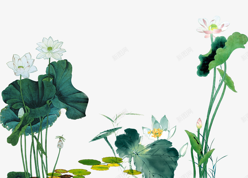 池塘里的荷花png免抠素材_新图网 https://ixintu.com 中国风 中国风莲花 夏季荷花图 植物 池塘 荷花荷叶满池塘 绿色 荷叶 荷花 莲叶 莲花 莲花水墨画