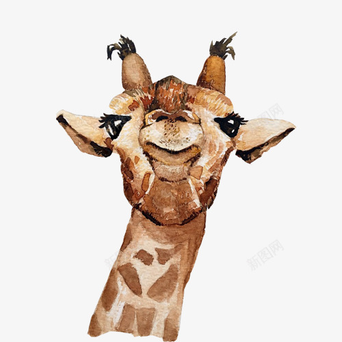 傲娇表情长颈鹿头像png免抠素材_新图网 https://ixintu.com 傲娇 昂头 水彩头像 长颈鹿 非洲动物