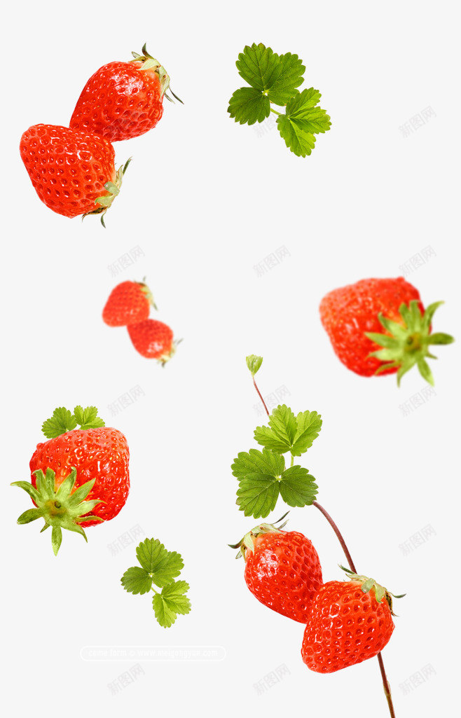 大草莓小草莓png免抠素材_新图网 https://ixintu.com 水果 红色的水果 红色的草莓 草莓