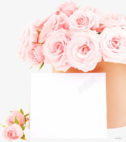 浪漫粉色雪山玫瑰素材