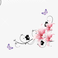 粉色花朵与蝴蝶图片花藤高清图片