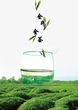 茶业海报绿茶茶叶背景高清图片