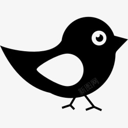 鸟包黑色和白色羽毛的鸟图标高清图片