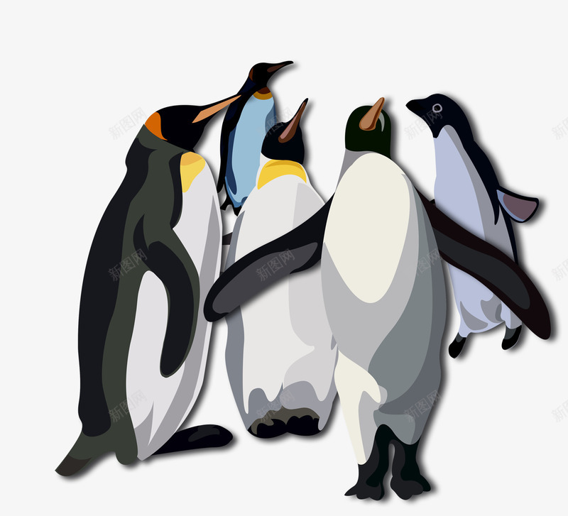 站在一起的南极企鹅png免抠素材_新图网 https://ixintu.com 卡通企鹅 成堆的企鹅 站在一起