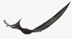 奔跑3D恐龙飞翔中的翼龙高清图片