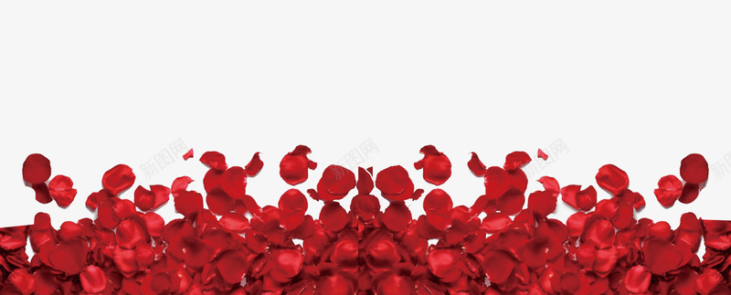 一堆精美的红色花瓣图psd免抠素材_新图网 https://ixintu.com 一堆花瓣 免抠 免抠图 精美 红色 花 花朵 花瓣