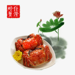 中国风大闸蟹预览图素材