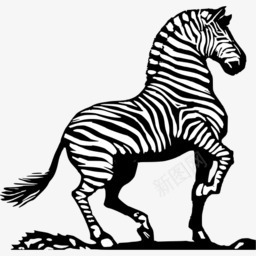 动物斑马openiconlibraryothersi图标png_新图网 https://ixintu.com animals zebra 动物 斑马