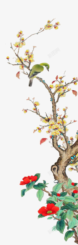 树枝上的小鸟树枝上的梅花和小鸟高清图片
