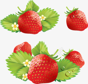 草莓png免抠素材_新图网 https://ixintu.com 水果 红色 草莓 草莓鼻