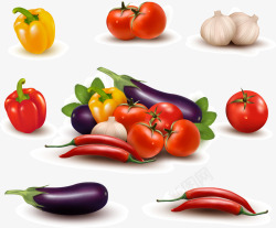 十一款新鲜蔬菜矢量图素材