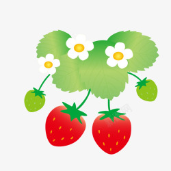 卡通手绘草莓花朵绿叶素材