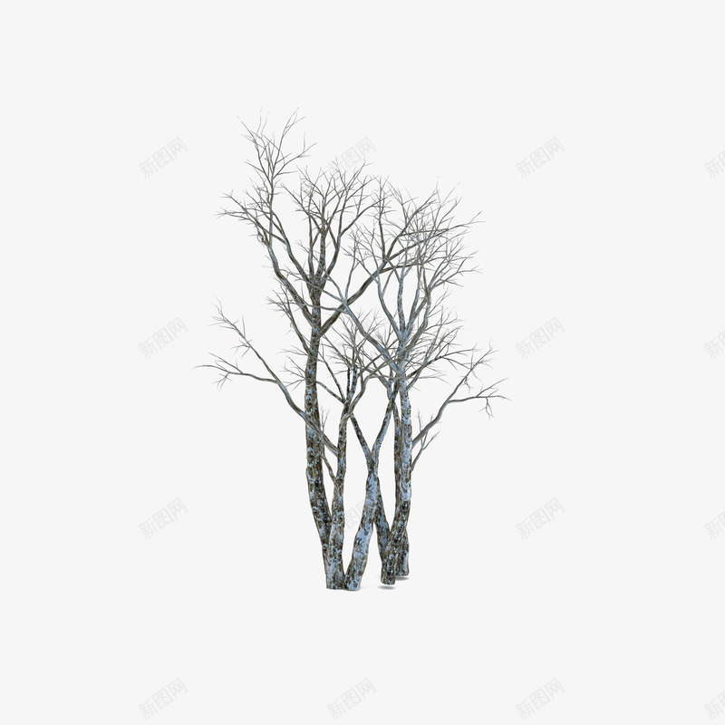 光秃秃的白桦树png免抠素材_新图网 https://ixintu.com 光秃秃的白桦树 手绘枯树枝 手绘立面干枯树 沾满落雪的树
