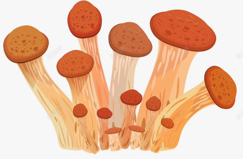 一堆蘑菇png免抠素材_新图网 https://ixintu.com 植物 菌类 蔬菜 蘑菇
