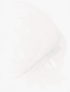 创意合成手绘白色的羽毛png免抠素材_新图网 https://ixintu.com 创意 合成 白色 羽毛