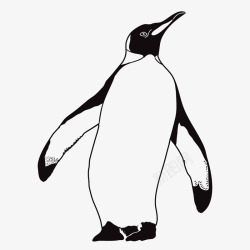 可爱帝企鹅手绘南极企鹅元素矢量图图标高清图片