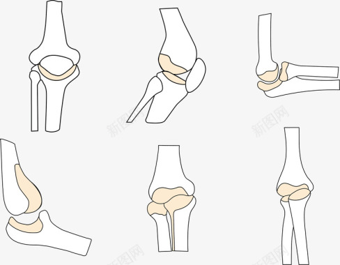 手绘各种关节图标图标