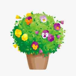 彩色花卉植物盆栽素材