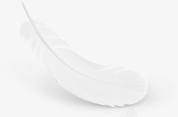 五根飘落的白色羽毛飘落的白色羽毛高清图片