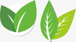木瓜膏logo叶子边框叶子矢量图图标高清图片