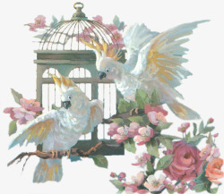 彩色鸟笼卡通手绘花朵鹦鹉装饰高清图片