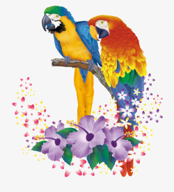 水彩画美女素材手绘鹦鹉图案高清图片