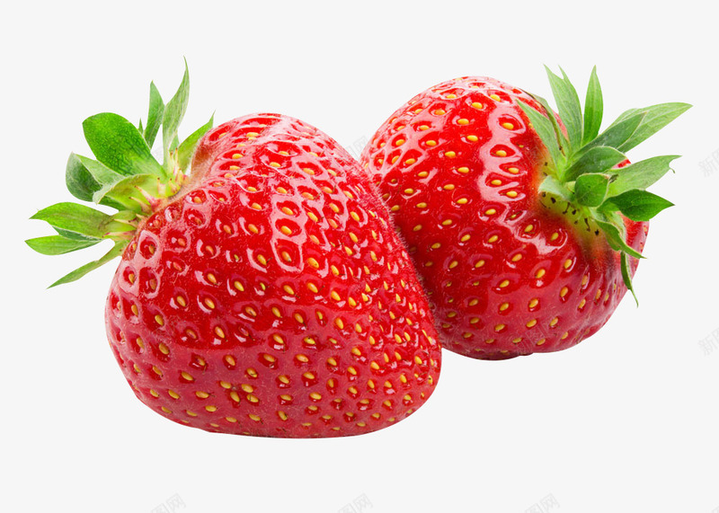 摄影红色新鲜的草莓png免抠素材_新图网 https://ixintu.com 摄影 新鲜 红色 草莓